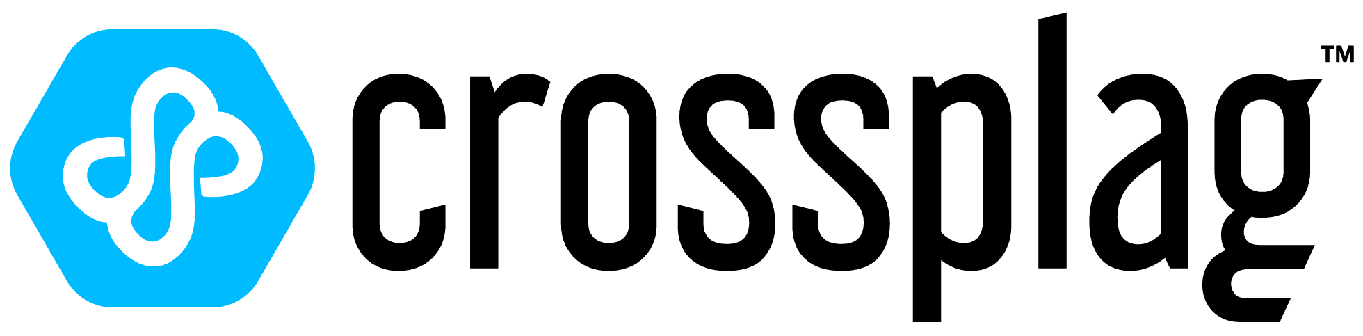 Logo of https://crossplag.com/